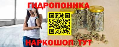 индика Лесосибирск