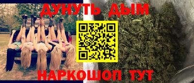 индика Лесосибирск