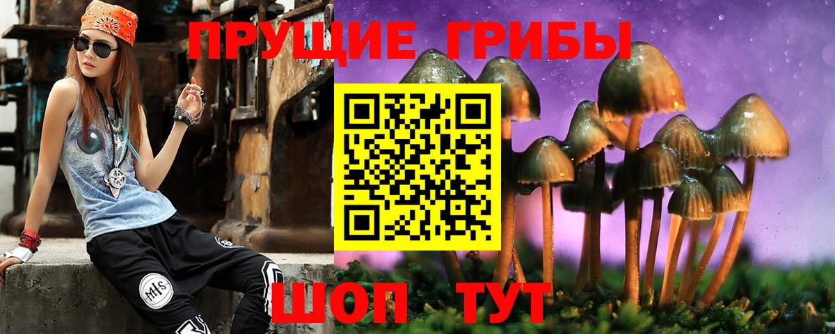 Галлюциногенные грибы мицелий  Вход с VPN  Вятские Поляны 