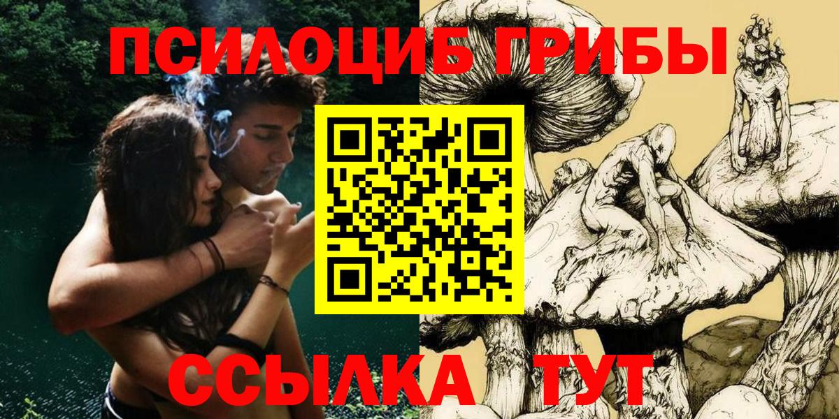 Псилоцибиновые грибы мицелий Вятские Поляны